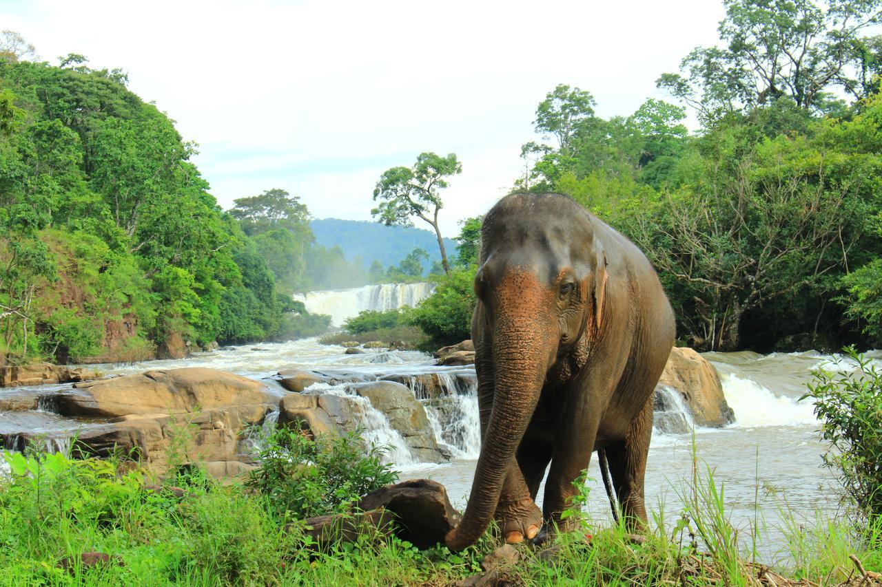Tadlo Lodge Beng Luaran gambar