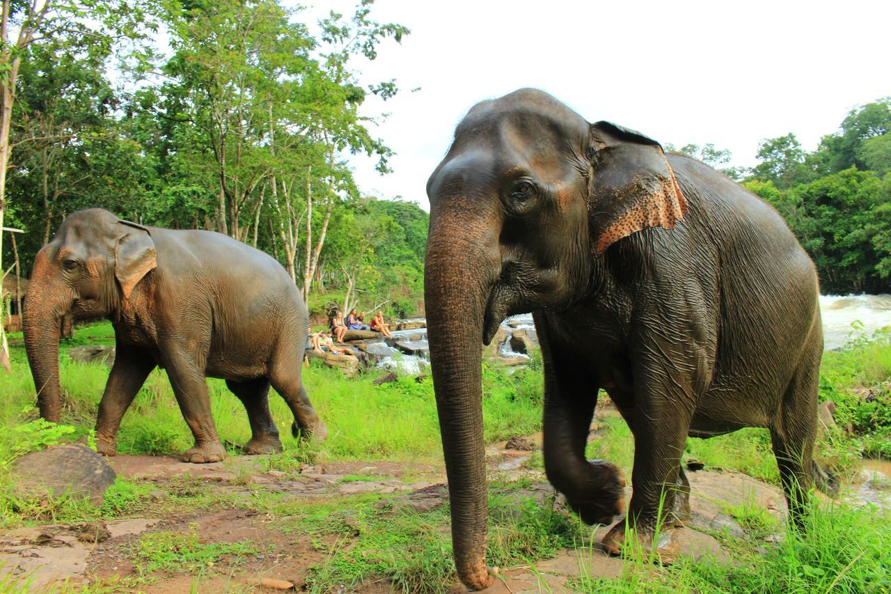 Tadlo Lodge Beng Luaran gambar